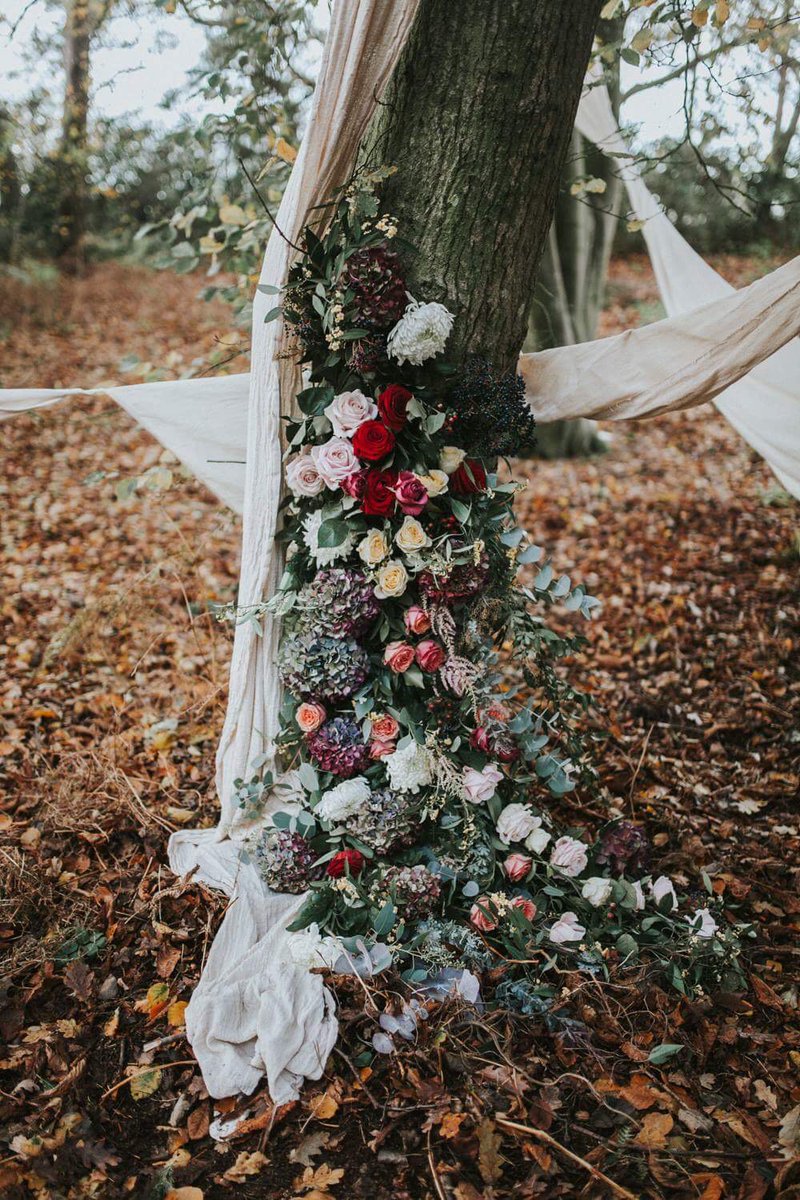 Festivalbrides tweet media