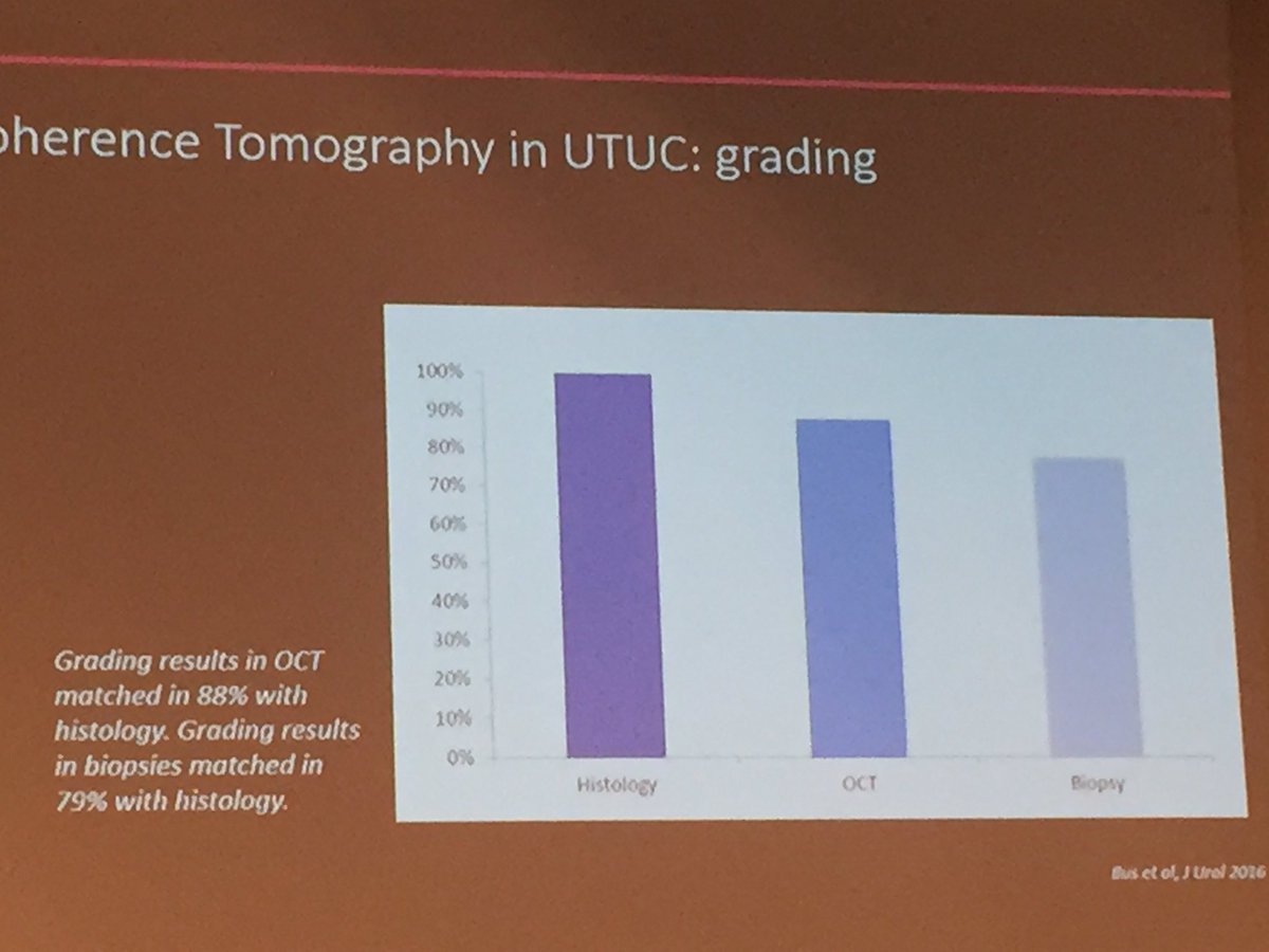 enriquegomezgo4's tweet photo. @ResidentesAEU #ESUI16 Dr Bus -OCT and CLE can improve UTUC stratification https://t.co/mfSF8NEd4K
