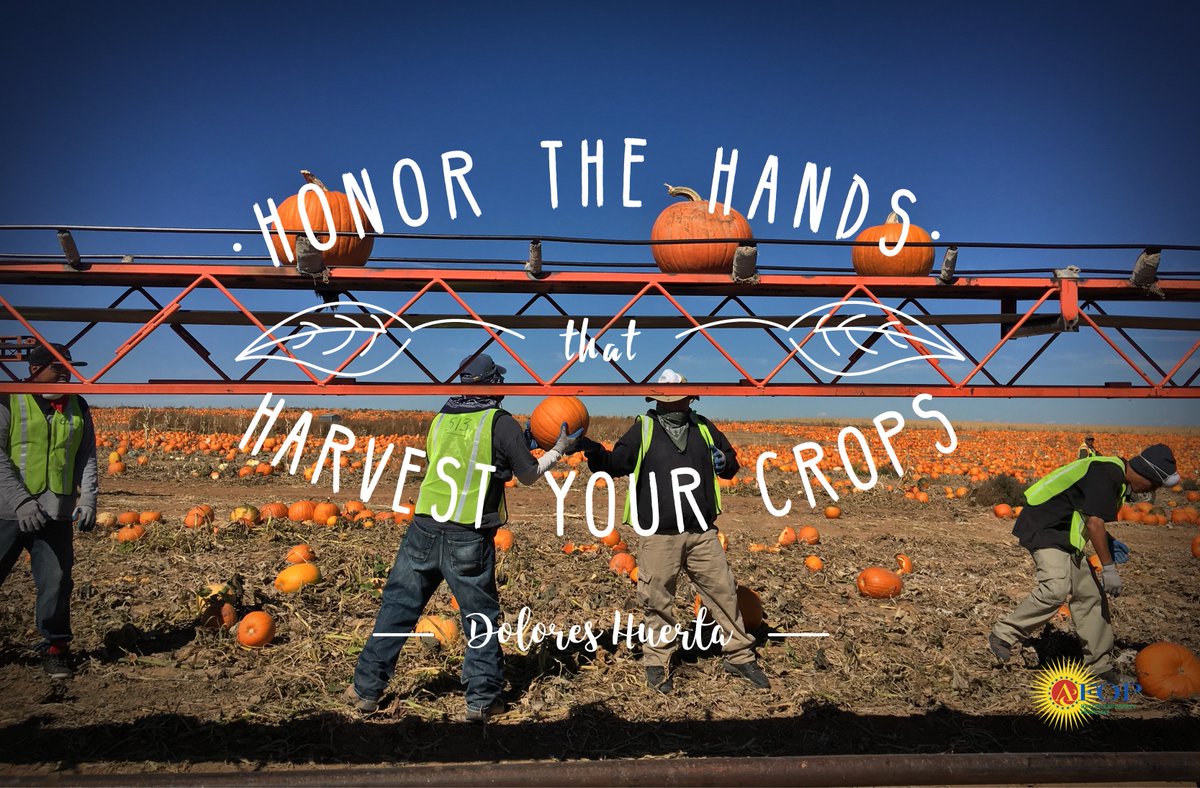 AFOPHealth's tweet photo. "Honor the hands that harvest your crops" -Dolores Huerta #ThankfulForFarmworkers https://t.co/nYeM4B5PWG