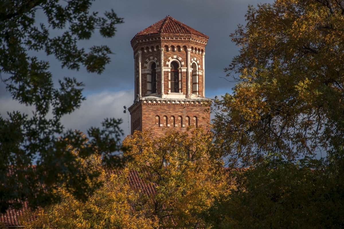 MSUTexas's tweet photo. Happy Thanksgiving! 🦃 https://t.co/9LGIxXZSrk