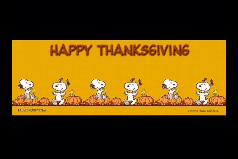 lovesflanery's tweet photo. Wishing everyone a Happy Thanksgiving!  Grateful to have you all as followers and friends!  Have a blessed day! 🌰 https://t.co/lctTv7WZ3Y