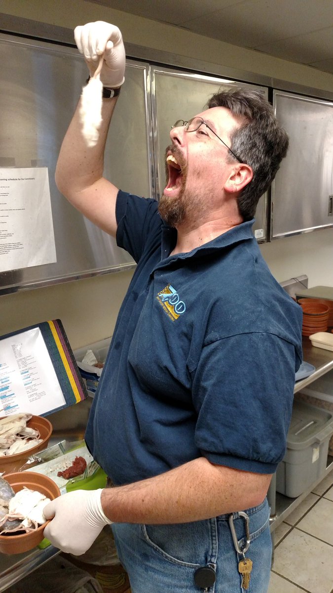 cityoftopeka's tweet image. Chef Martin: I don't feed anything to the animals I wouldn't eat...produce-wise #zoothanksgiving