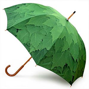 #SalvemosDoñana no se achica con el agua. Si llueve, trae paraguas y chubasquero. No se suspende por lluvia. #Doñana26N
