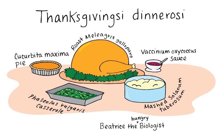 KingBiologist's tweet photo. Happy thanksgiving, Homo sapiens! May everything you eat have organic origins! https://t.co/A0PyJJQv8Y