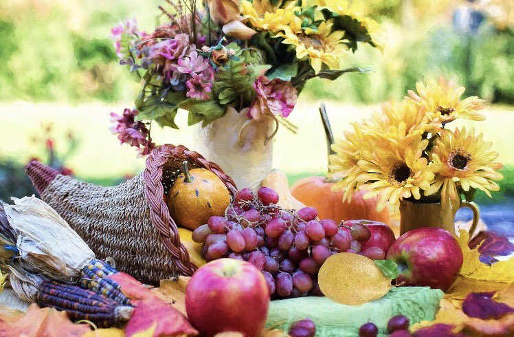 CISredhounds's tweet photo. Happy Thanksgiving to our CIS Family https://t.co/0f8CfmjnTw