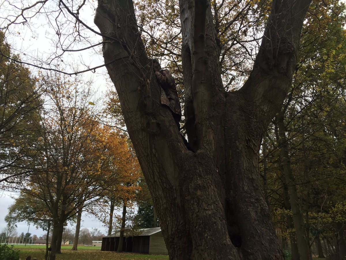 NSPoliceDogs's tweet photo. Today's #ViewFromTheOffice on the #GpInitial #68 https://t.co/QCu1ErRzlR