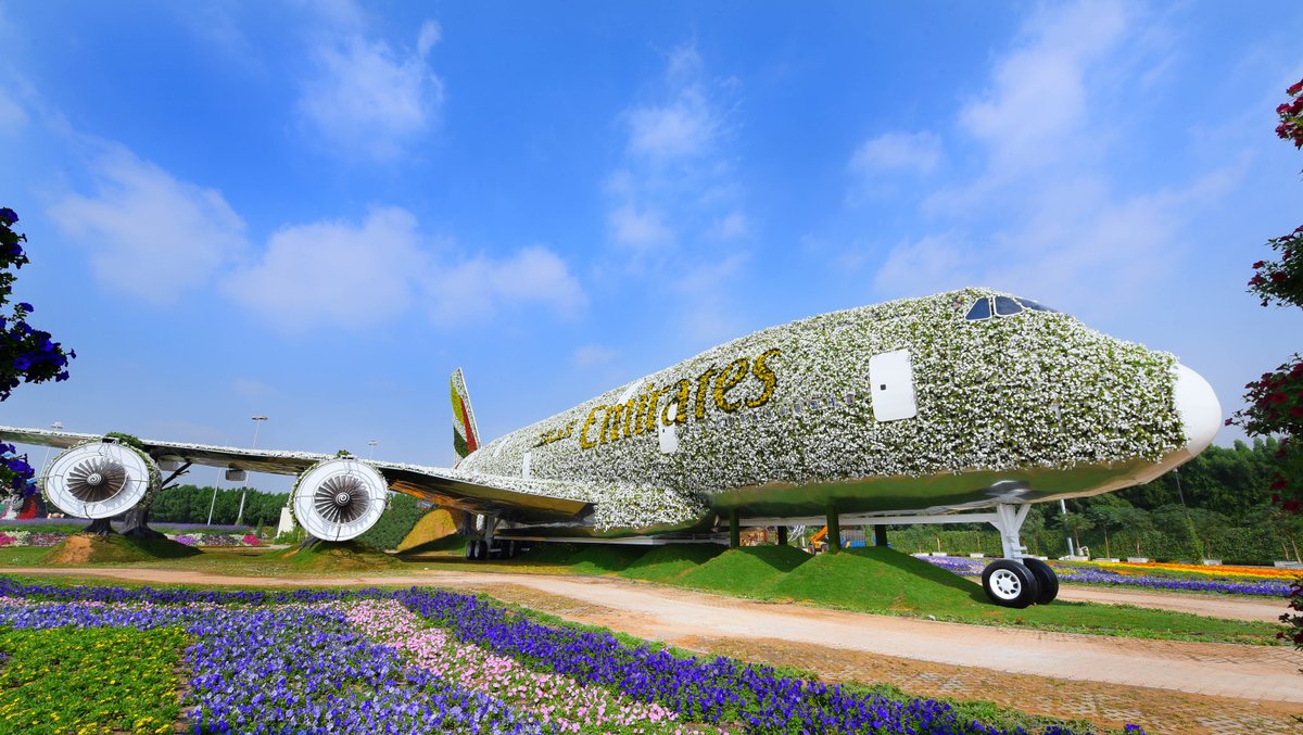emirates's tweet photo. Welcome on board our @Airbus A380 made of 500,000 flowers &amp; living plants at Dubai Miracle Garden. https://t.co/itEAJqWLN5