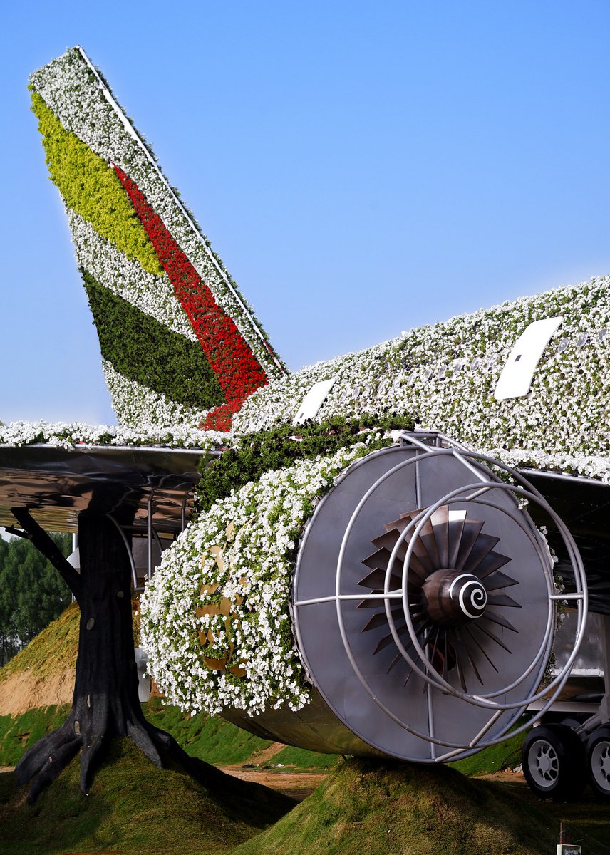 emirates's tweet photo. Welcome on board our @Airbus A380 made of 500,000 flowers &amp; living plants at Dubai Miracle Garden. https://t.co/itEAJqWLN5