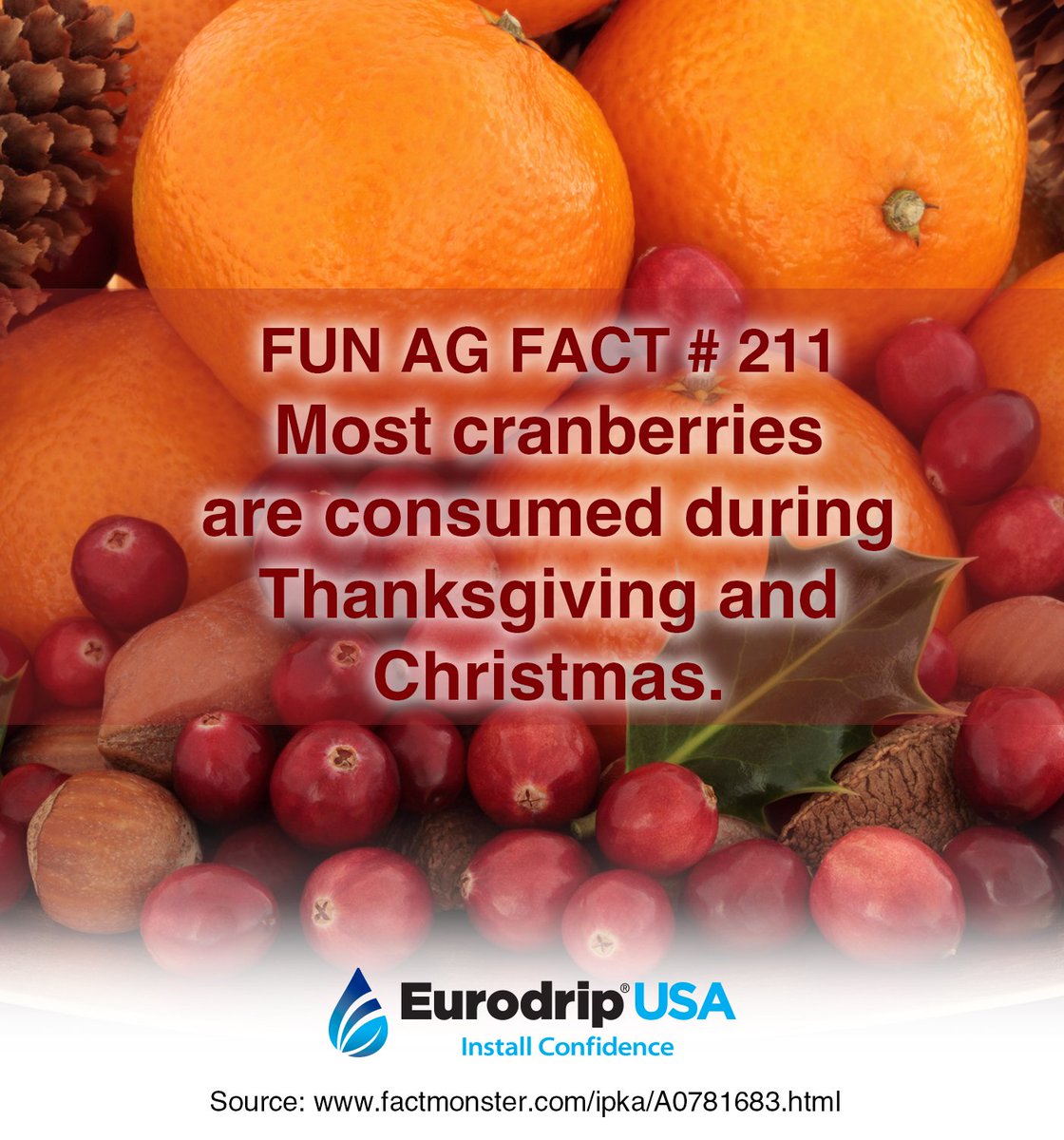 EurodripUSA's tweet photo. Happy Thanksgiving! #ThankAFarmer #FunAgFact https://t.co/J3G4fKxRoz
