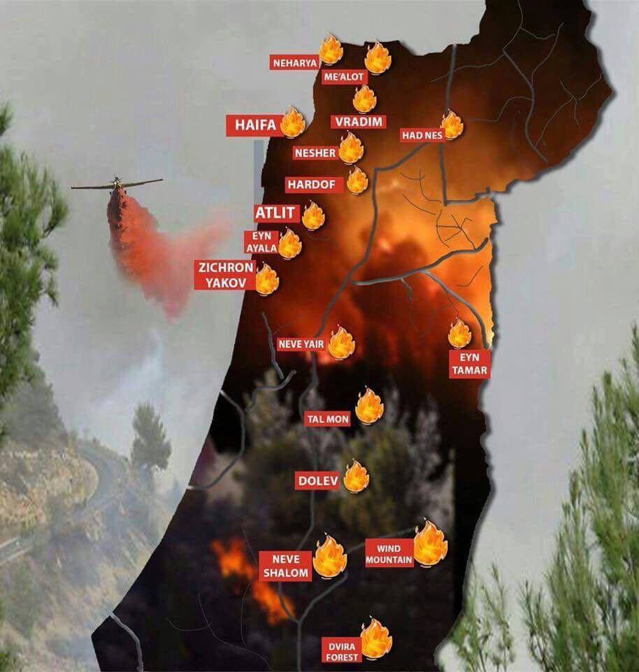 Image result for arson fires in Israel