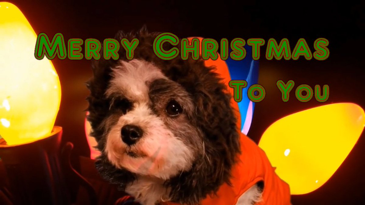 MilfRouge's tweet photo. Great Video CLICK THE LINK -  https://t.co/mWsZGHMsV9 

SHARE!! #cartoongeek #MacysThanksgivingDayParade #WhatIWantForChristmasIn4Words https://t.co/KjJyheiim7