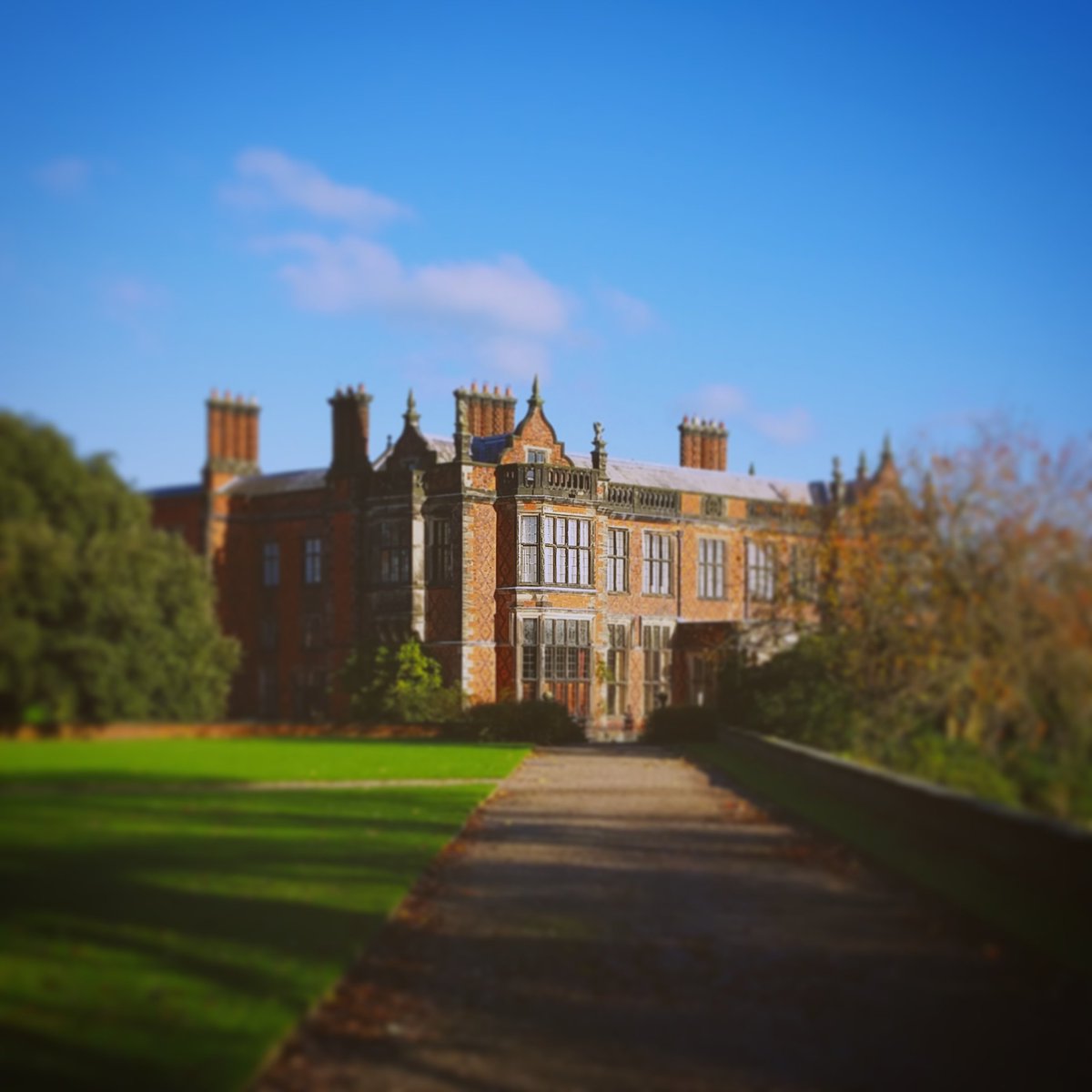 herbal3helen's tweet photo. Gorgeous day @ArleyHall in Cheshire, colours spectacular, freshly-baked scones delicious!!! 😃 #ArleyHall #Cheshire #gardens #wintersunshine https://t.co/4P9cH6lef5