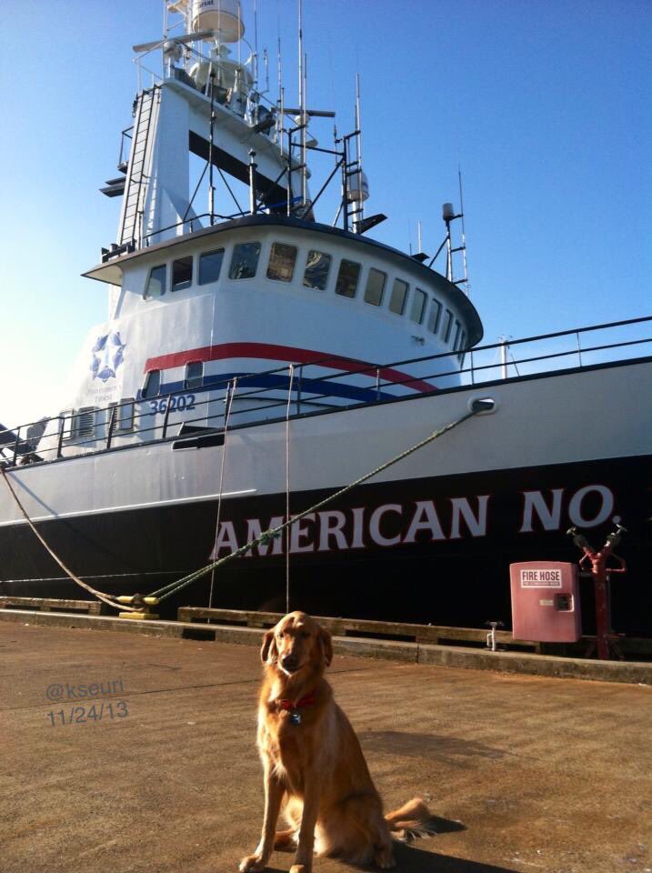FishFinest's tweet photo. 11/24/2013 #TBT American No.1 @PortofSeattle #MaritimeIndutrialCenter HAPPY THANKSGIVING #FishFinest #MSFCMA #EatMoreFish https://t.co/cf10G2CZNO
