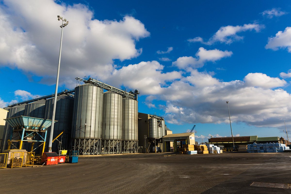 ABP_SSP's tweet image. We are #ABPSSP: The Port of King&apos;s Lynn&apos;s Alexandra silo complex offers 25,000 tonne capacity storage. #KeepingBritainTrading