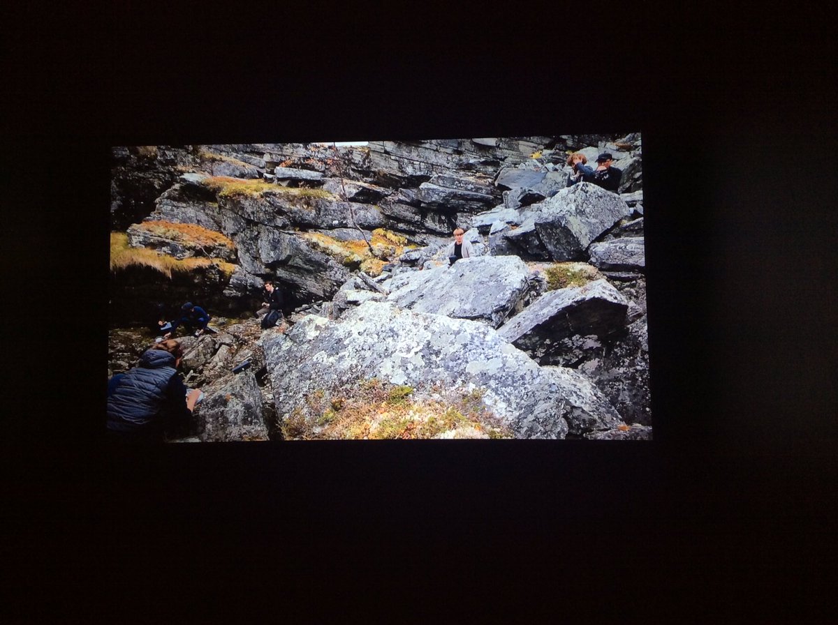 poemproducer's tweet photo. exhibiting "Monster Cavern" w Sonic Wild Code alongside @real_mkk @FlyPrinter @hybridmatters #Forumbox #Helsinki #sonicwilderness https://t.co/VpHr6MPL9Z