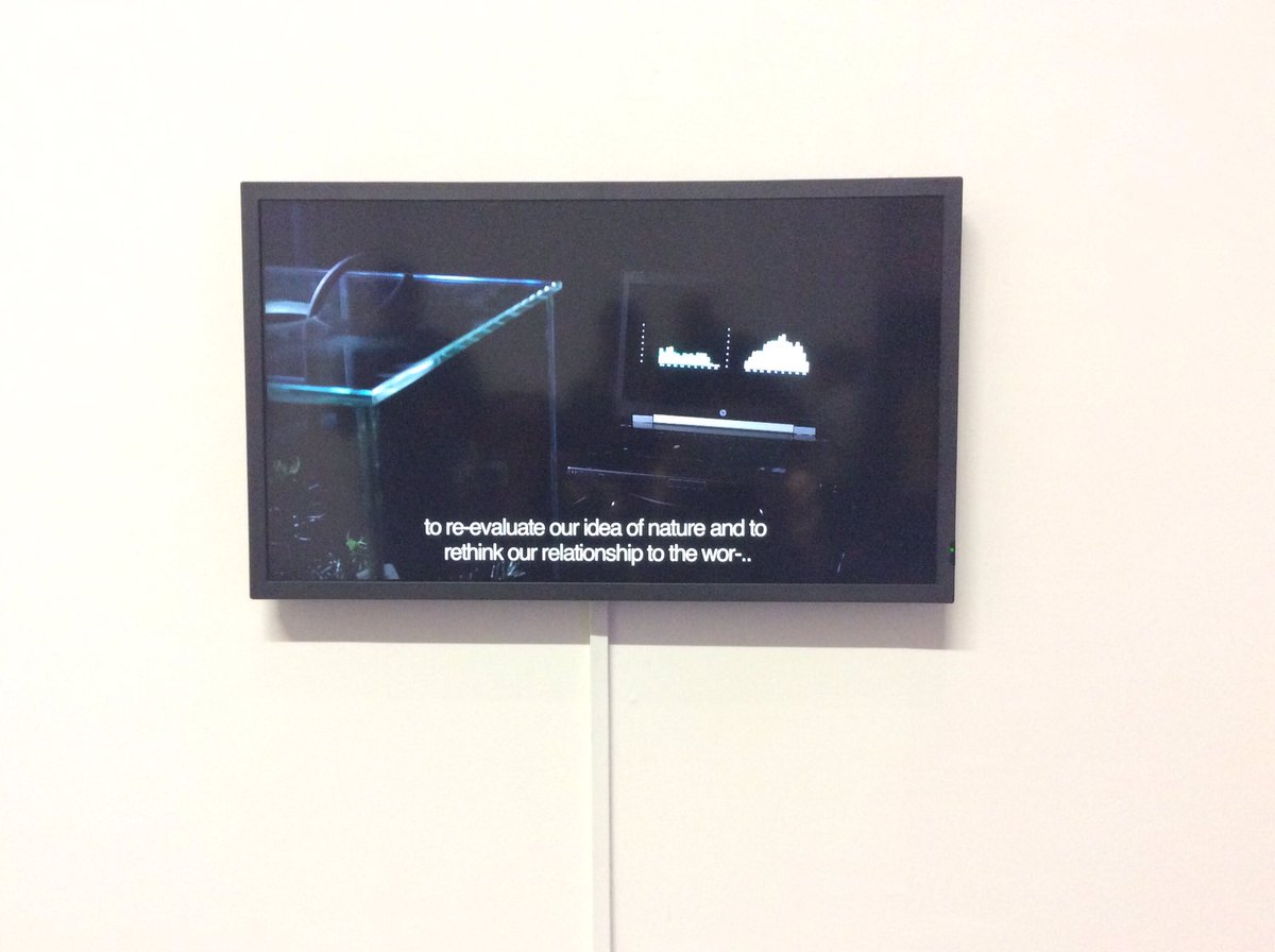 poemproducer's tweet photo. exhibiting "Monster Cavern" w Sonic Wild Code alongside @real_mkk @FlyPrinter @hybridmatters #Forumbox #Helsinki #sonicwilderness https://t.co/VpHr6MPL9Z