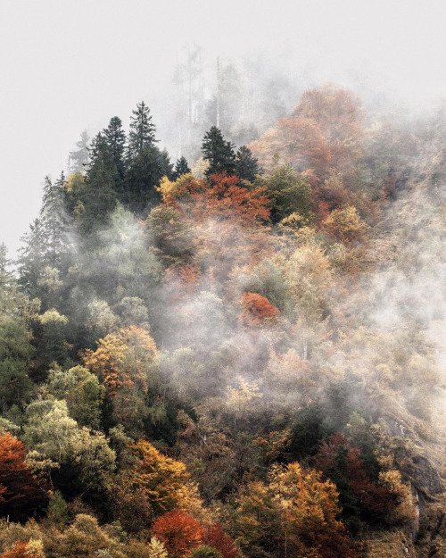 FoxandHardy's tweet photo. Happy #Thanksgiving to all our American friends. We hope you enjoyed it in the great outdoors. #travel #explore #lifeintheopen https://t.co/BGBIhi1TYB