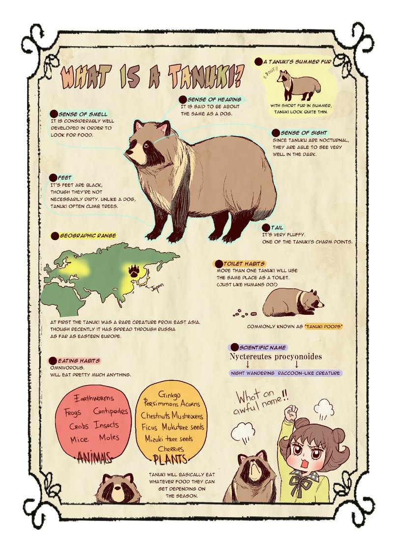 Tanuki are mysterious animals native to East Asia.