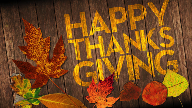 Mosquito Shield tweet media