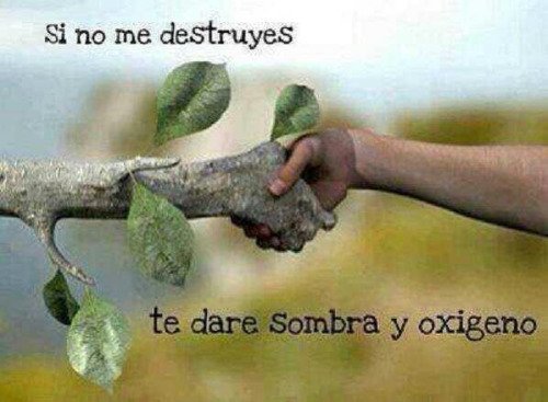 Agrorevok's tweet photo. Necesitamos hacer éste pacto y respetarlo https://t.co/RDTwoNJUwe
