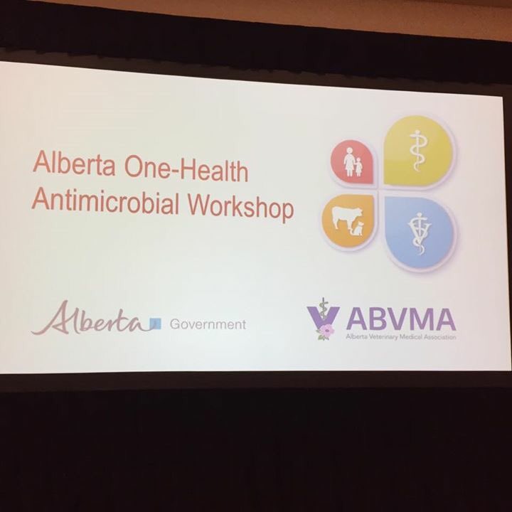 abvma's tweet photo. Over 150 experts in human, animal and environmental health discussing antimicrobial use &amp; resistance #OneHealth https://t.co/uQ7WBmRzIz