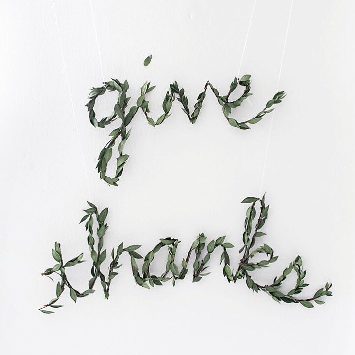 FoamMag's tweet photo. Happy Thanksgiving! https://t.co/0O083pfPvC