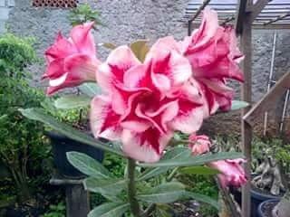 deni_aples's tweet photo. https://t.co/LQM6hiARyz