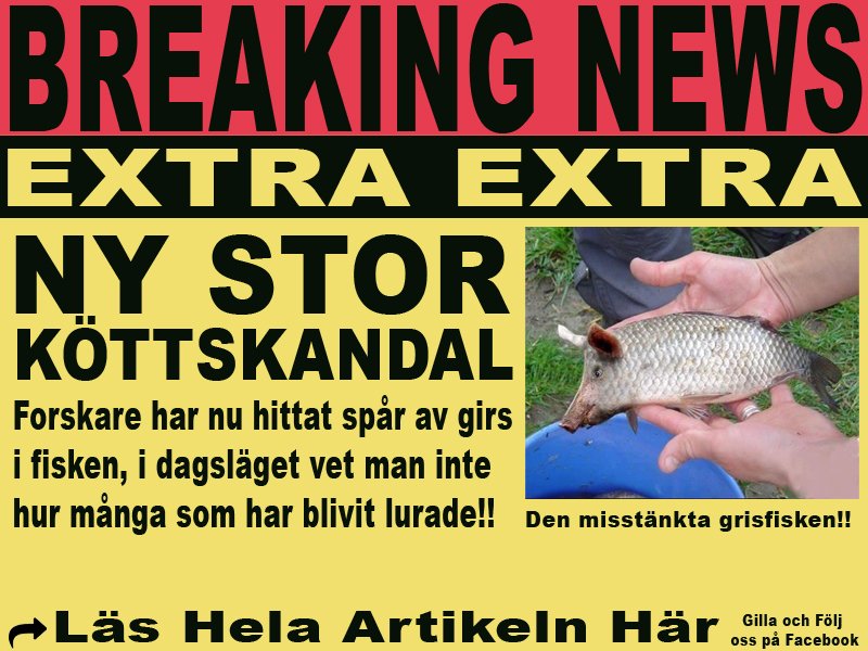 ExtraExtraSe's tweet image. #aftonbadet #nyheter24 #svt #roligt #humor #ExtraExtra
