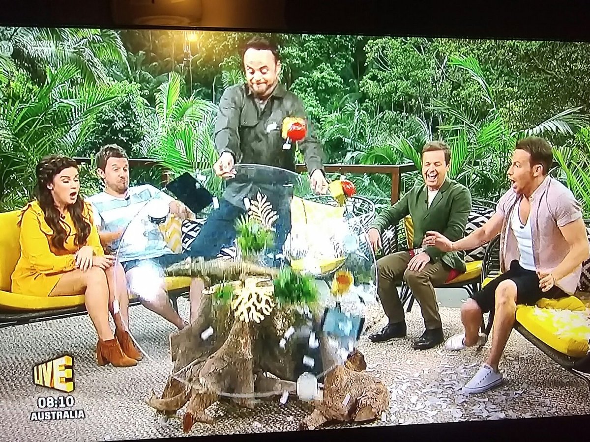 MissMyPuma's tweet photo. Classic Ant havin a #DuckFit
😂😂😂 Calm down man! Only a game! 😹😹😹 #ImACeleb 
#ExtraCamp @antanddec https://t.co/eBFNBMy1uw