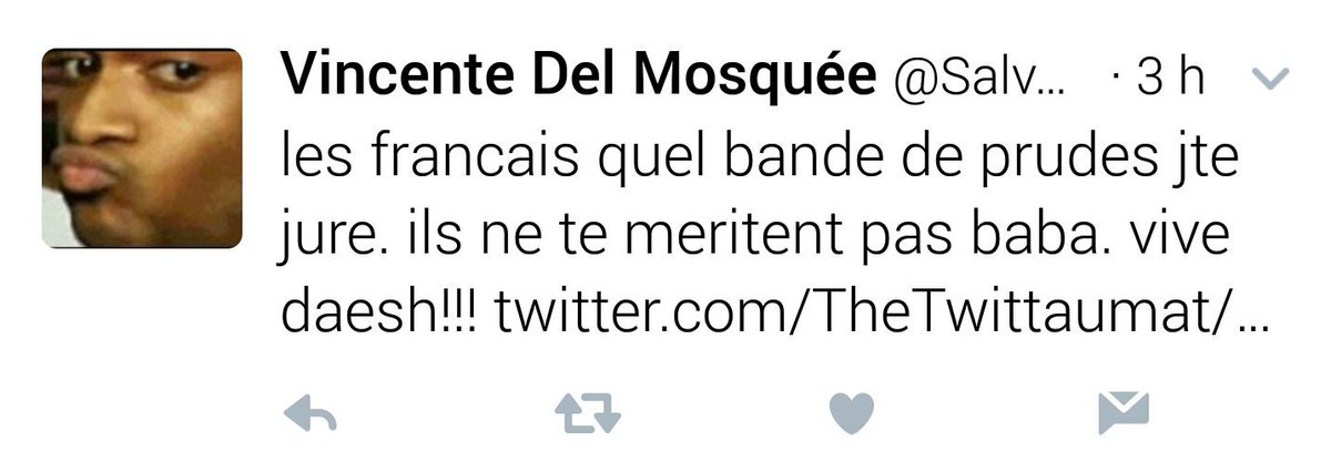 Compte ☞@SalvadorDalida☜ sympathisant daesh 
@Support @PoliceNationale