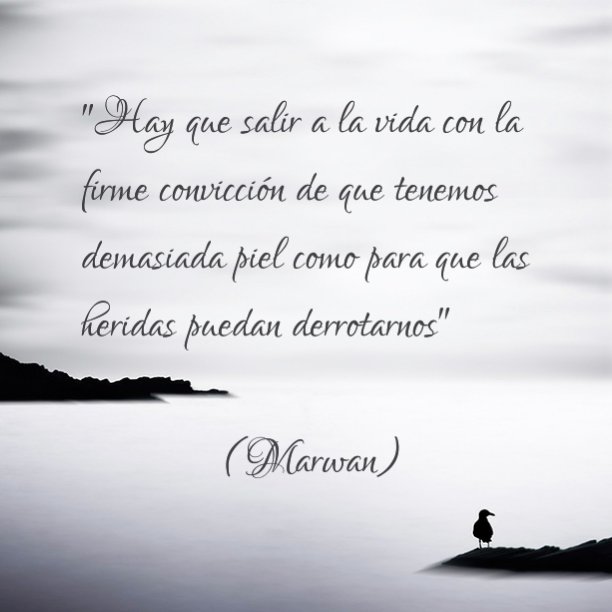 Marwan_News's tweet photo. "Tenemos demasiada piel como para que las heridas puedan derrotarnos" 

#FelizMiercoles https://t.co/NY5DvOc5OQ
