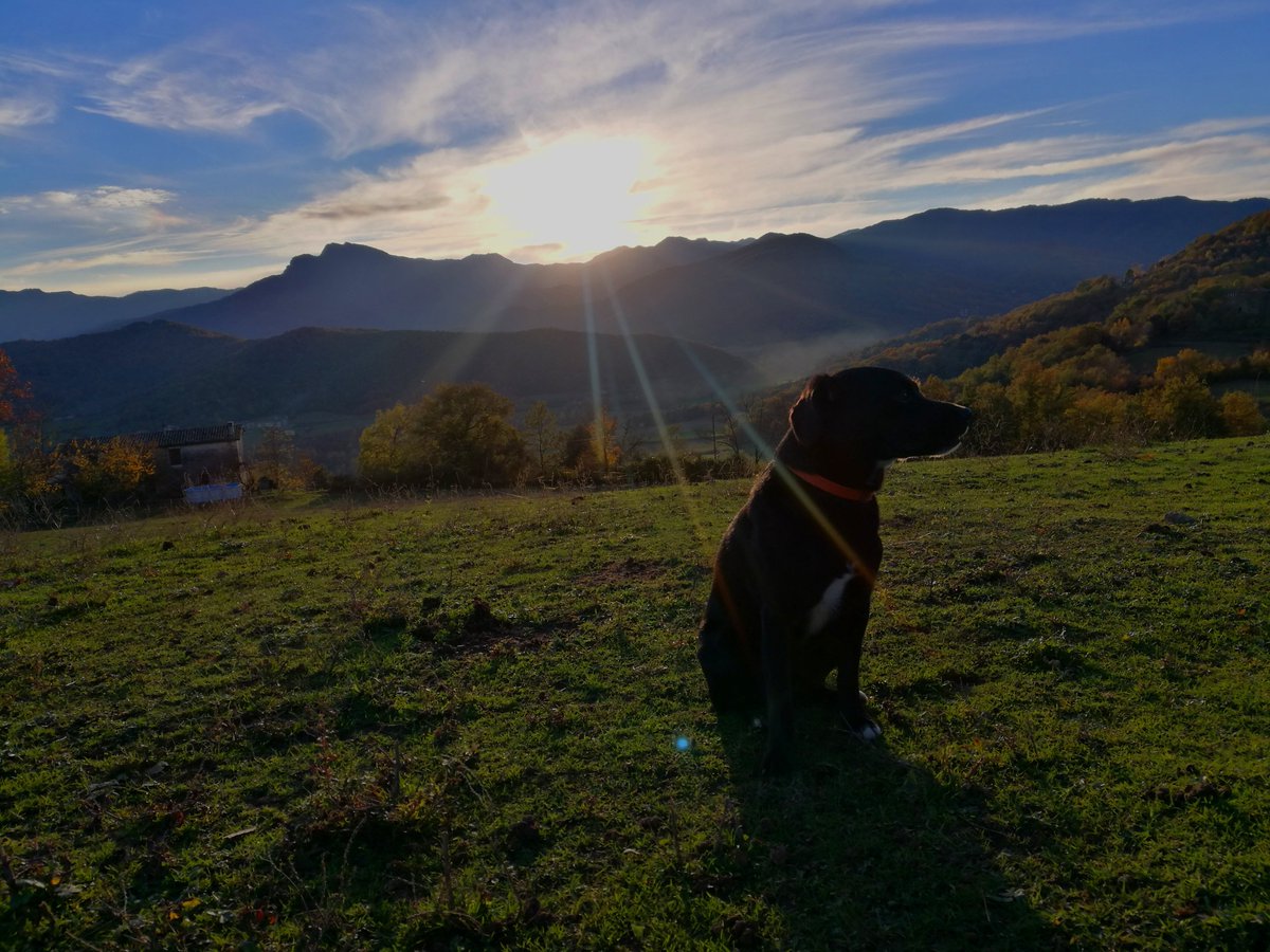 Tarda tardor....a la Garrotxa