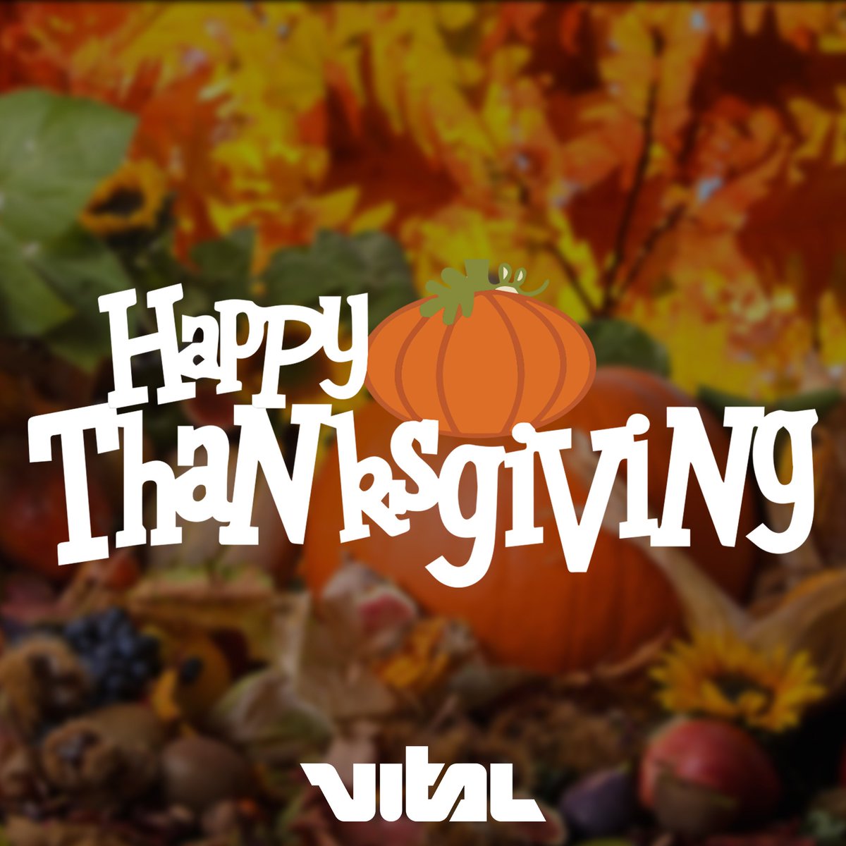 VitalEvents's tweet photo. Happy Thanksgiving #VitalFam! We're thankful for YOU! 🦃 ❤️ https://t.co/WhCRkWjujV