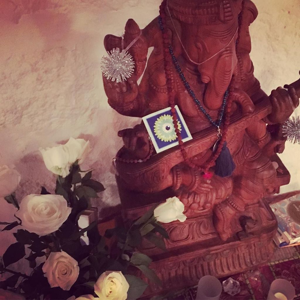 Ganesha all dressed up for Thanksgiving! I'm so lucky! Thank you to Christine for bringing… instagram.com/p/BNNcPXaAzQ4/