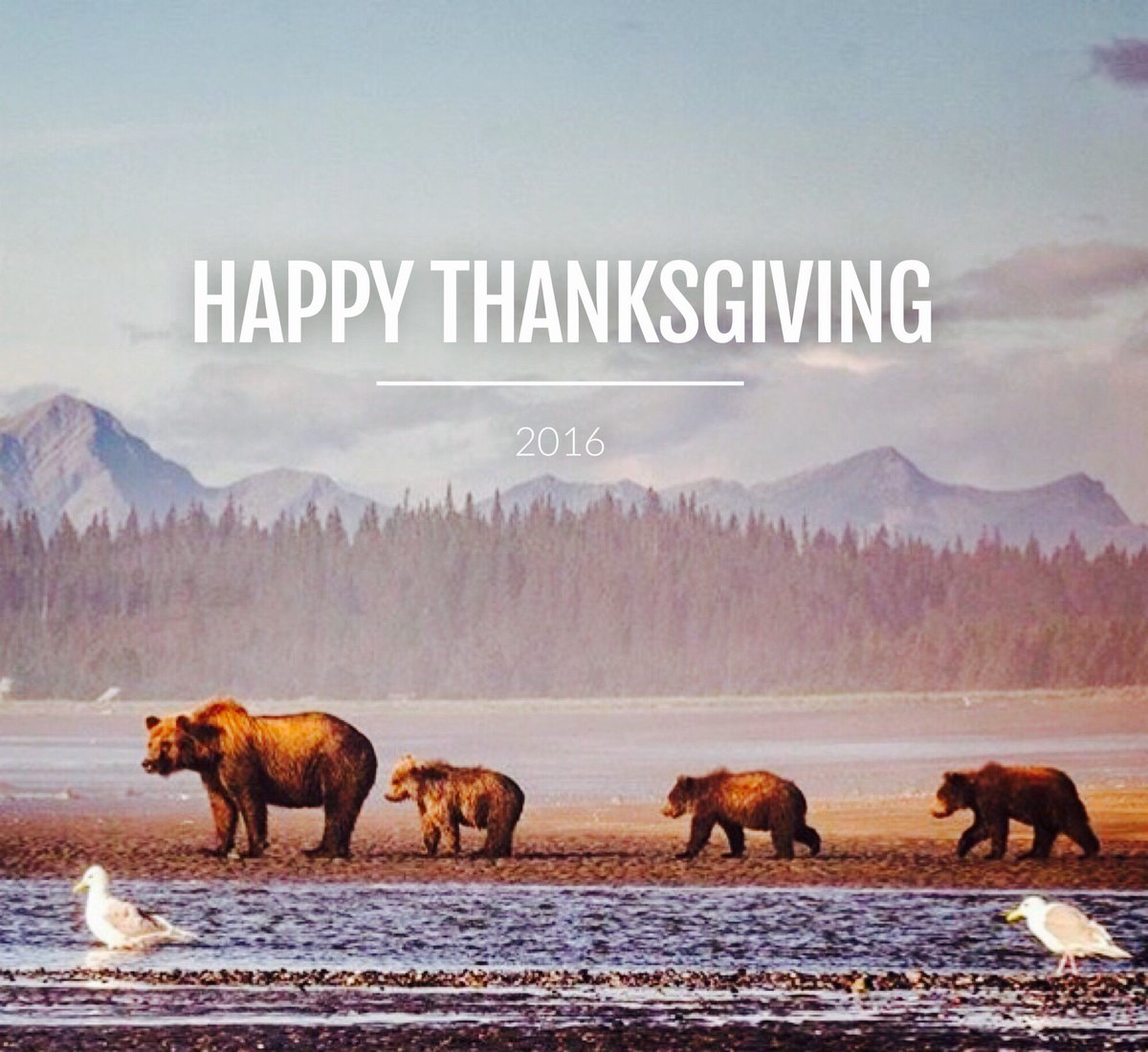 MattMillerBL16's tweet photo. Happy Thanksgiving! #2016 #Thanksgiving https://t.co/kBxHq8ux5P