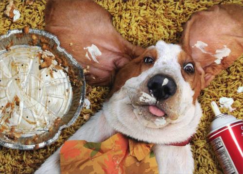 DesktopServer's tweet image. Yup! This is us at #ServerPress!