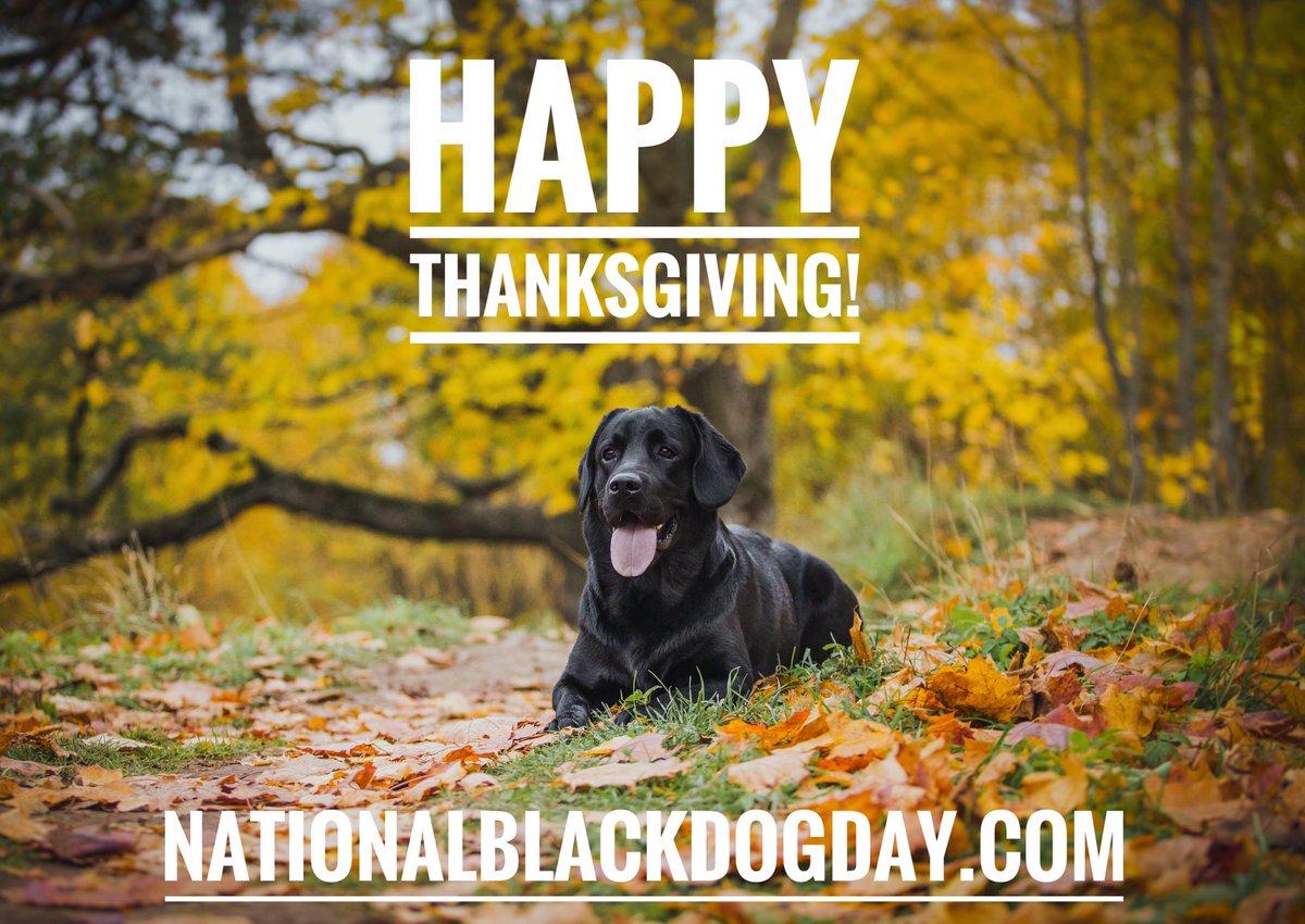NationalBlackDogDay™ (@NatlBlackDogDay) | Twitter