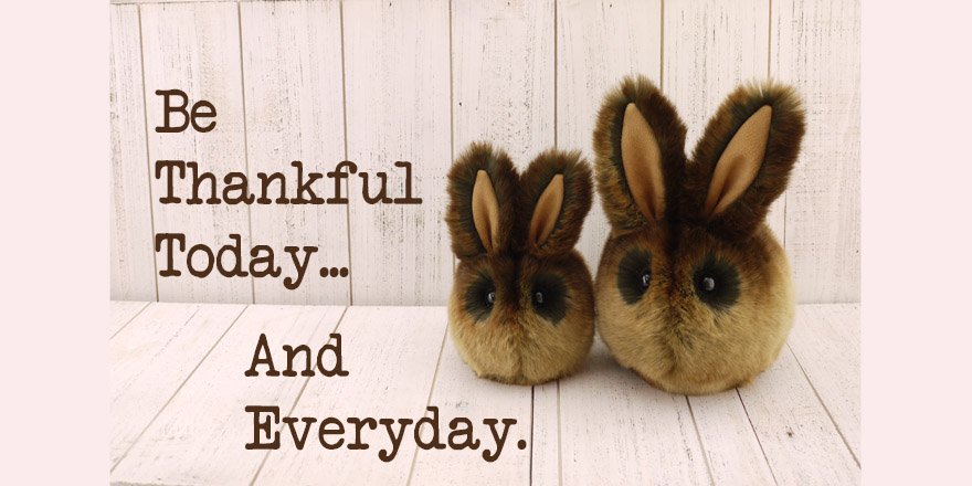 Fuzziggles's tweet photo. Happy Thanksgiving Everyone! We are thankful for you! #iamthankfulfor #IamThankful #fuzziggles https://t.co/JjPgkpaHSX
