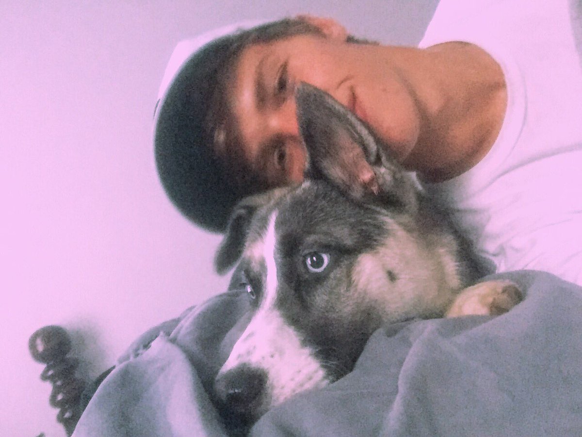JustinWard96's tweet photo. @Purina  #dogthanking https://t.co/VUuGtpX5Et