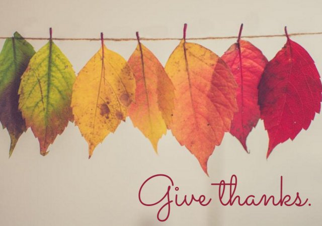 AdvancedAltMT's tweet image. We're grateful for our fans today and every day. Happy Thanksgiving!