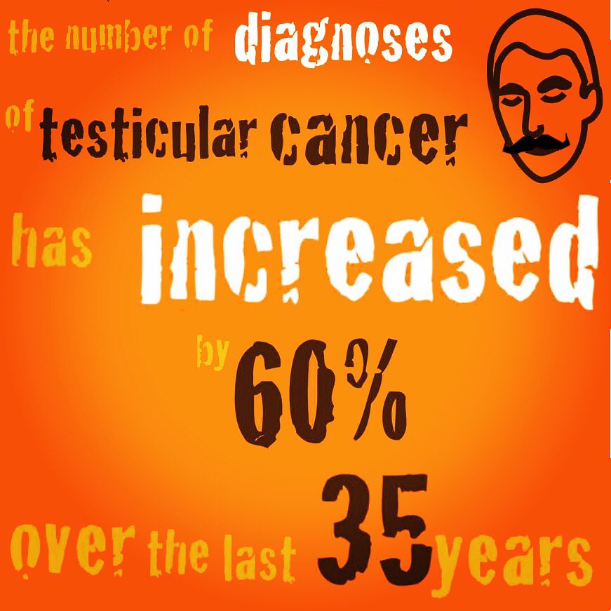 movemberpt's tweet photo. O número de diagnósticos de Cancro Testicular, aumentou 60% nos últimos 35 anos
#movemberpt #movember #cancrotesticular #cancronostesticulos https://t.co/v1OWGQhZzU