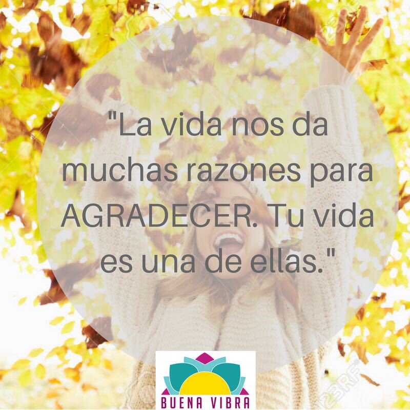 zeniavasquezv's tweet photo. Que la #Gratitud sea un acto constante de cada hora, de cada día, de toda la vida. Y tu, porqué agradeces? https://t.co/f70UROAgQg