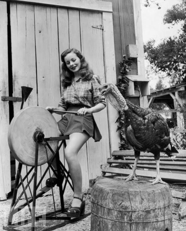 CloakandDapper's tweet photo. No matter how you spin it... today we should all be #Thankful for what we have. #HappyThanksgiving https://t.co/Ja7PR8loqM