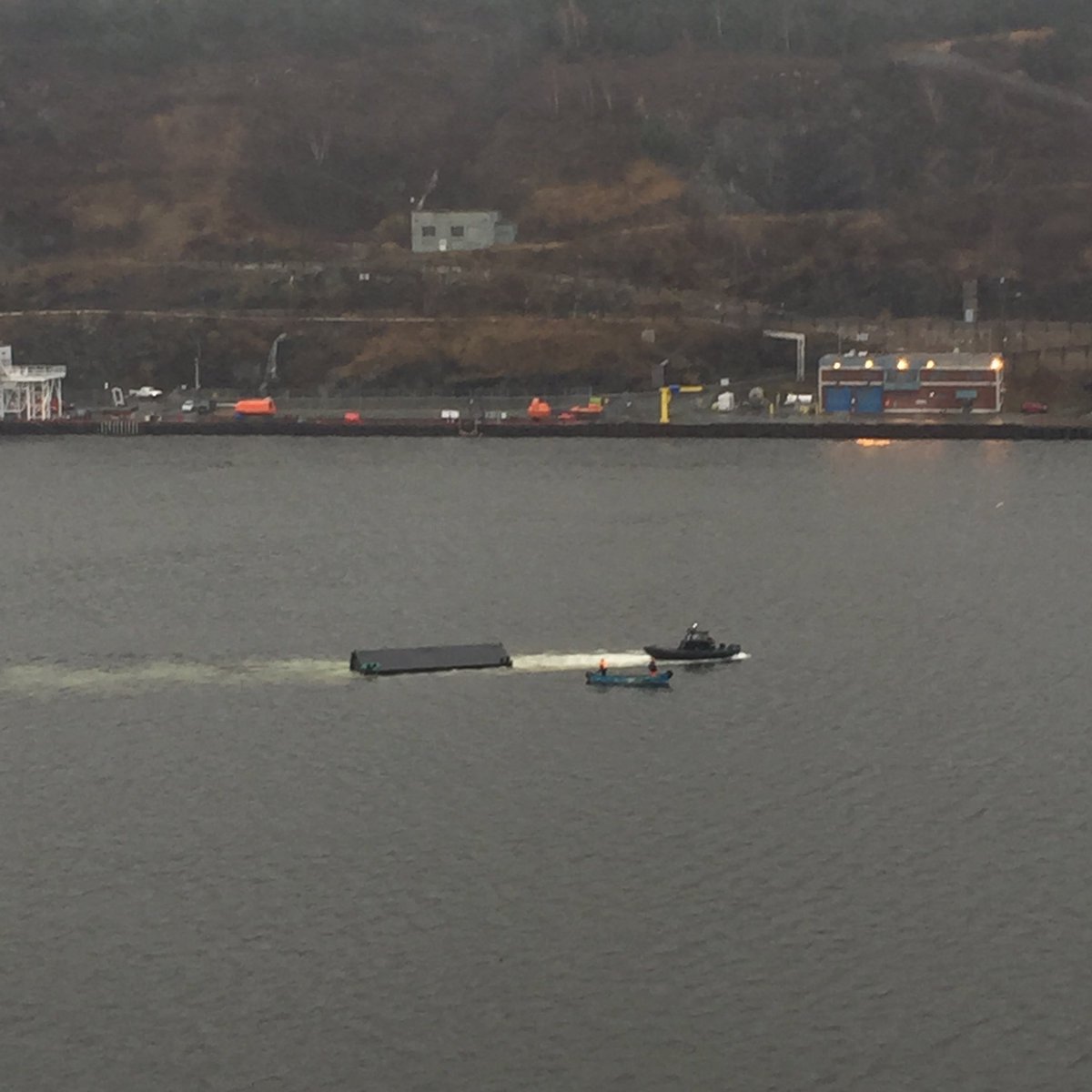 Melissa Royle (@melissaroyle) | Twitter