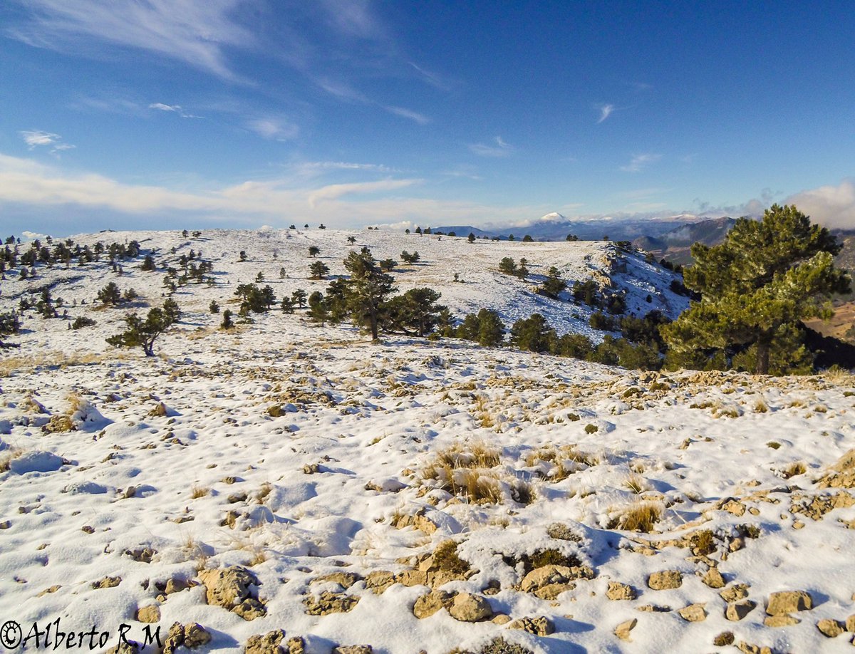 albertojrm85's tweet photo. Unos 5cm de nieve a partir de 1900/2000m en el macizo Revolcadores
@Ayto_Moratalla @ServiMeteo @mecun_caravaca @meteocaravaca @JuanDavid_Met https://t.co/uEhuguHmGY
