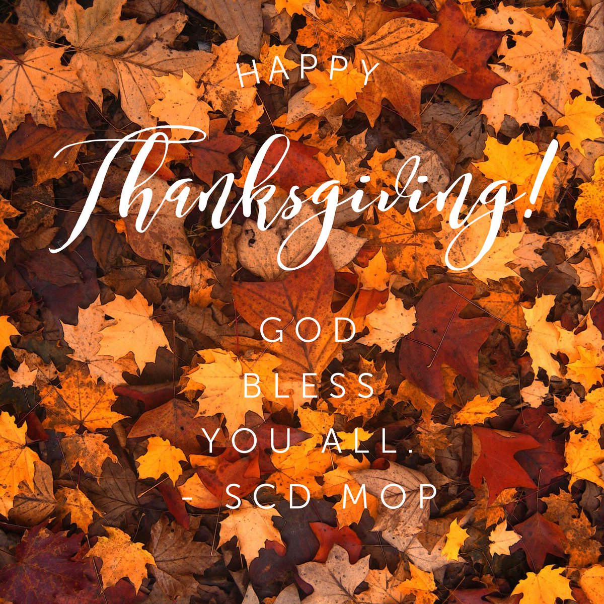 scd_mop's tweet photo. There's so much to be thankful for, but first and foremost let us be thankful to our Lord and Savior. Happy Thanksgiving, #scdmop ! 🦃🍁🍂 https://t.co/yH1Mnw23Fl