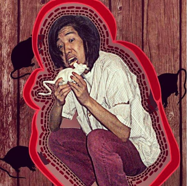 AndyBooPandy's tweet image. Andyboopandy having a fabulous basement rat for his Thanksgiving meal. Have a good Thanksgiving.