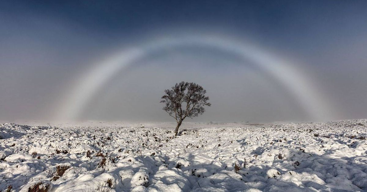 White rainbows are the natural phenomenon you've never heard of #Nature #WhiteRainbow

Truly amazing- snip.ly/65qby
