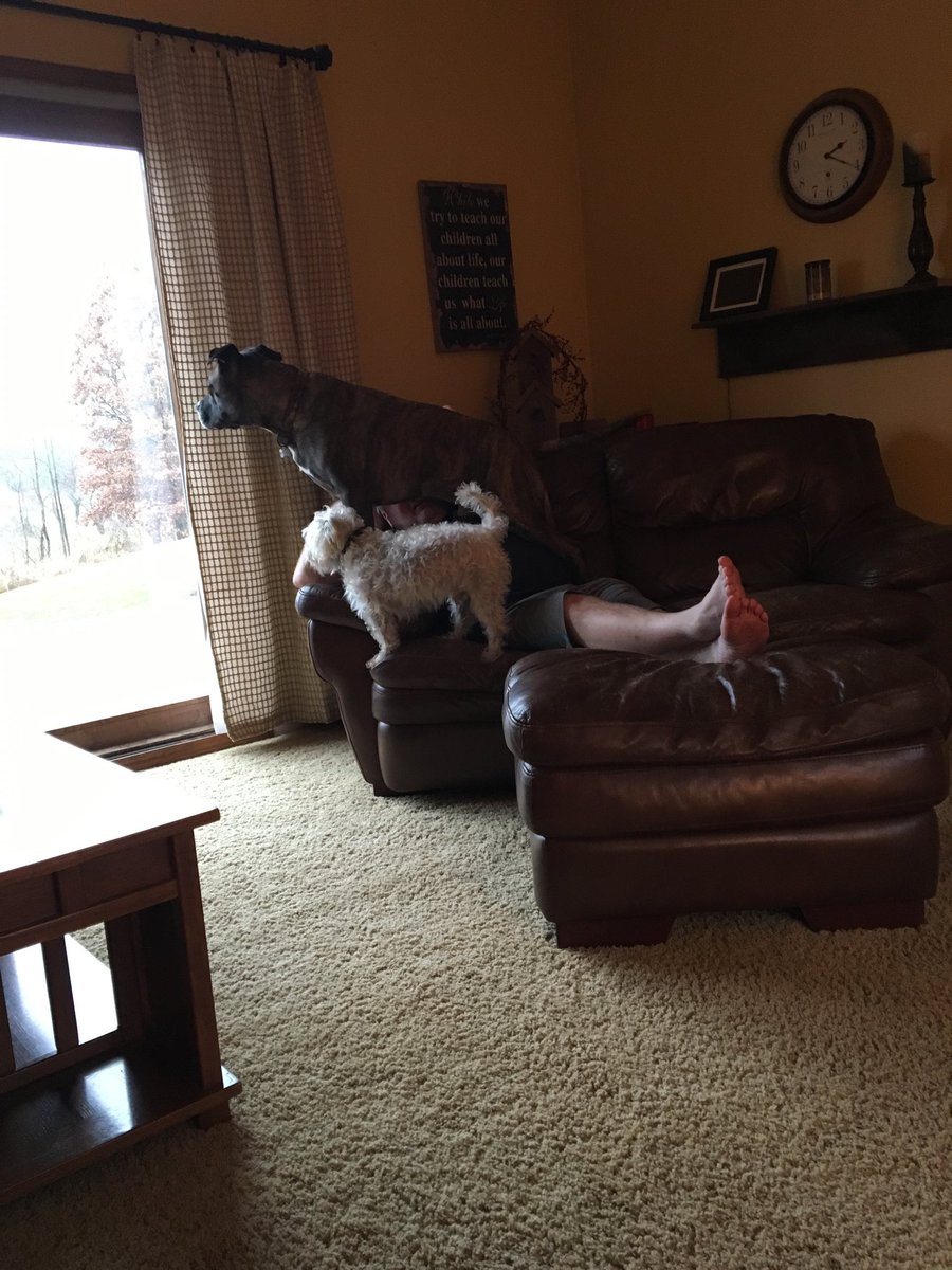 summerslammers's tweet photo. Happy Thanksgiving from our crazy house! https://t.co/kaNnfzJcay