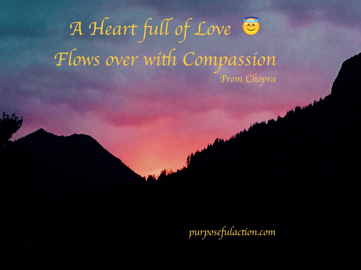Purposeful Action tweet media